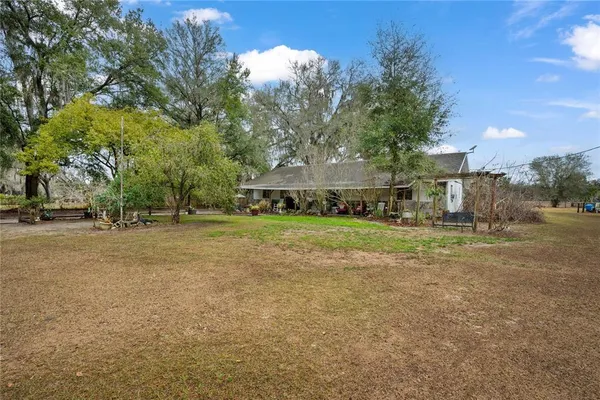 a view of yard with tree s