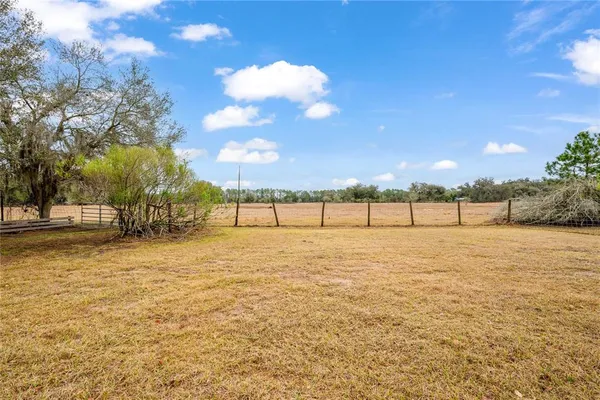 a view of dirt field with large trees