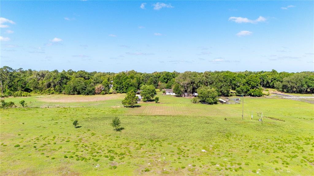 12237 County Road 727 Webster, FL 33597 - Photo 6 of 38