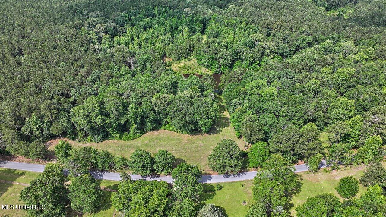 Brandon - Williamsburg Road Mendenhall, MS 39114 - Photo 11 of 29 08-182 Brandon - Williamsburg Rd