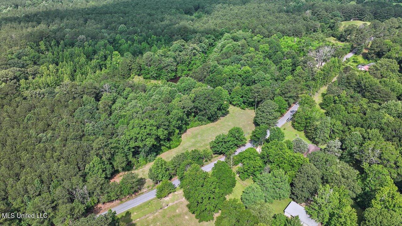 Brandon - Williamsburg Road Mendenhall, MS 39114 - Photo 12 of 29 09-182 Brandon - Williamsburg Rd