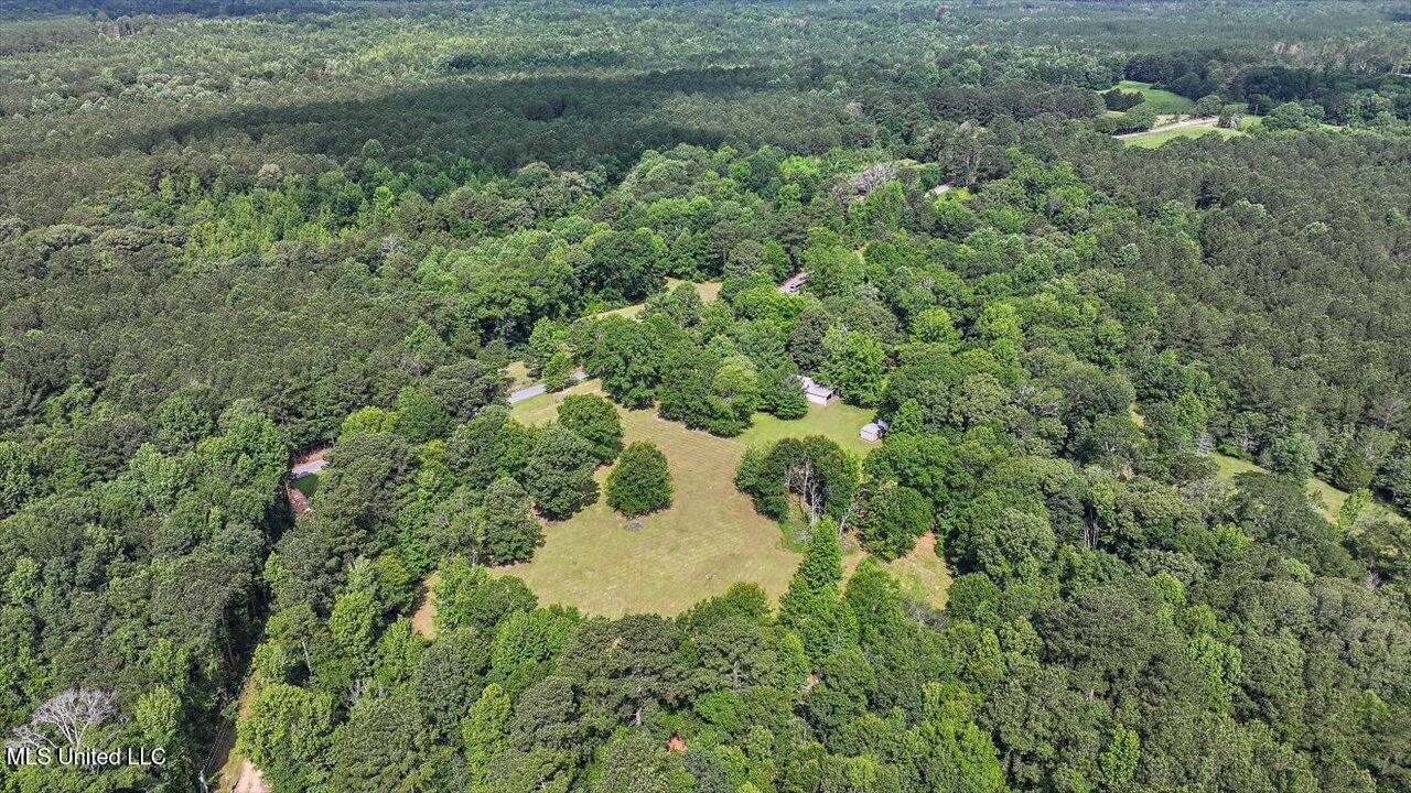 Brandon - Williamsburg Road Mendenhall, MS 39114 - Photo 13 of 29 10-182 Brandon - Williamsburg Rd