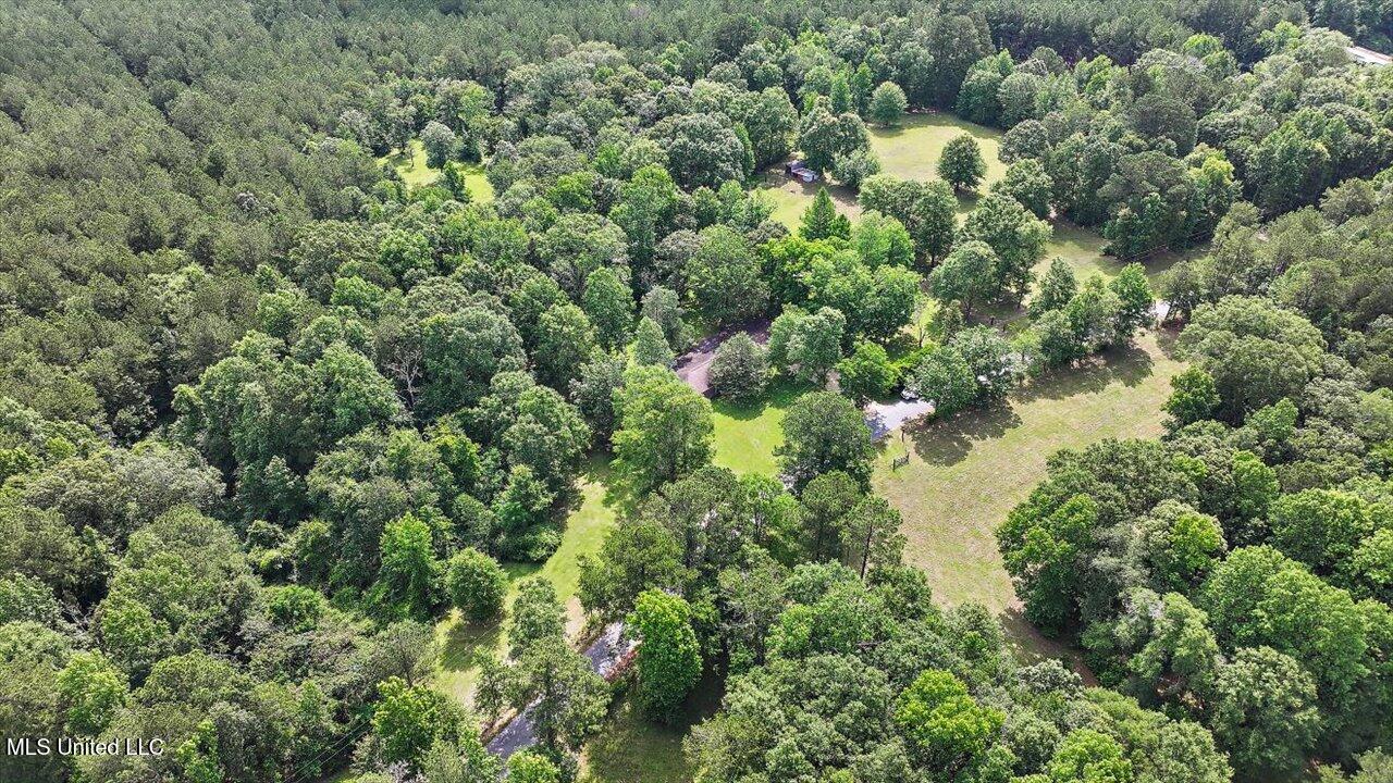 Brandon - Williamsburg Road Mendenhall, MS 39114 - Photo 18 of 29 15-182 Brandon - Williamsburg Rd
