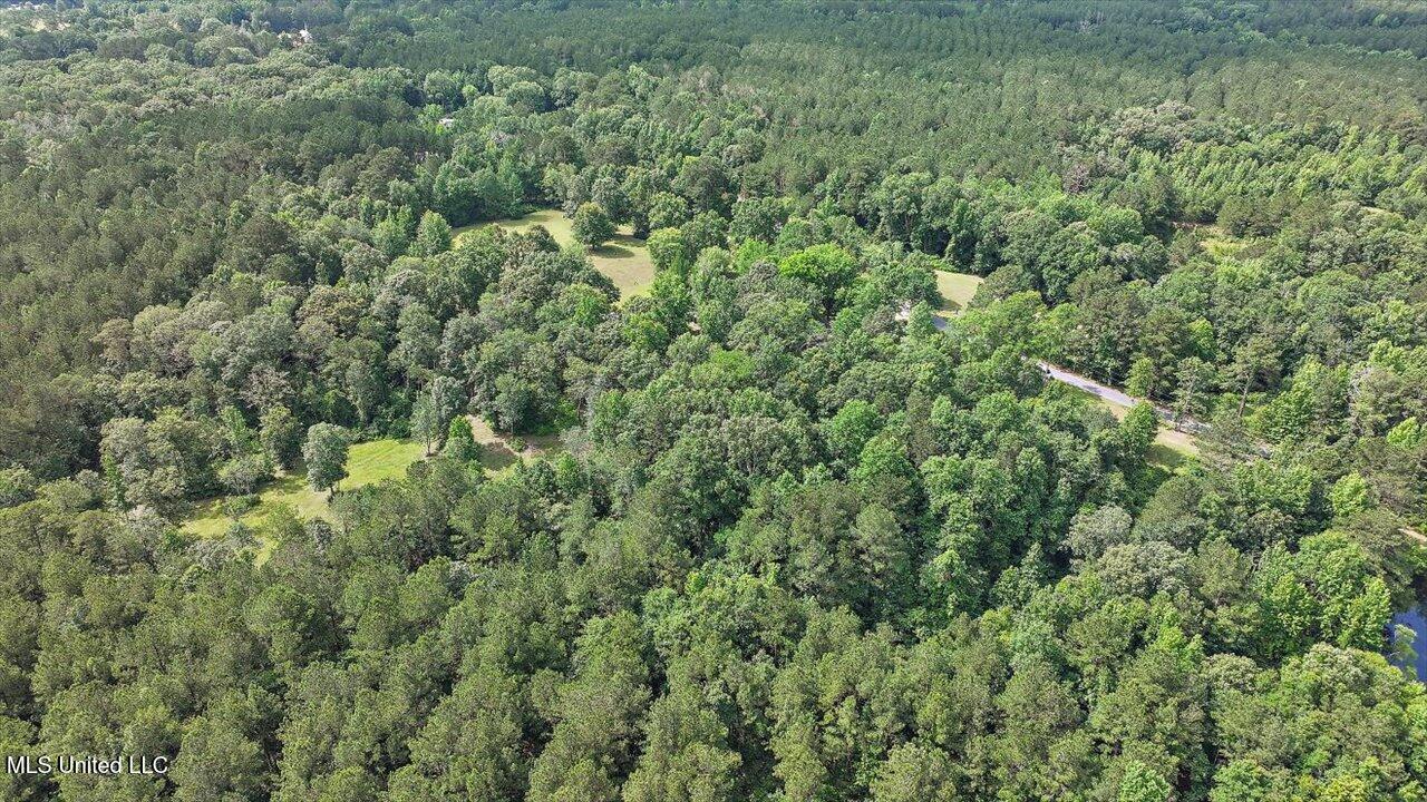 Brandon - Williamsburg Road Mendenhall, MS 39114 - Photo 20 of 29 17-182 Brandon - Williamsburg Rd