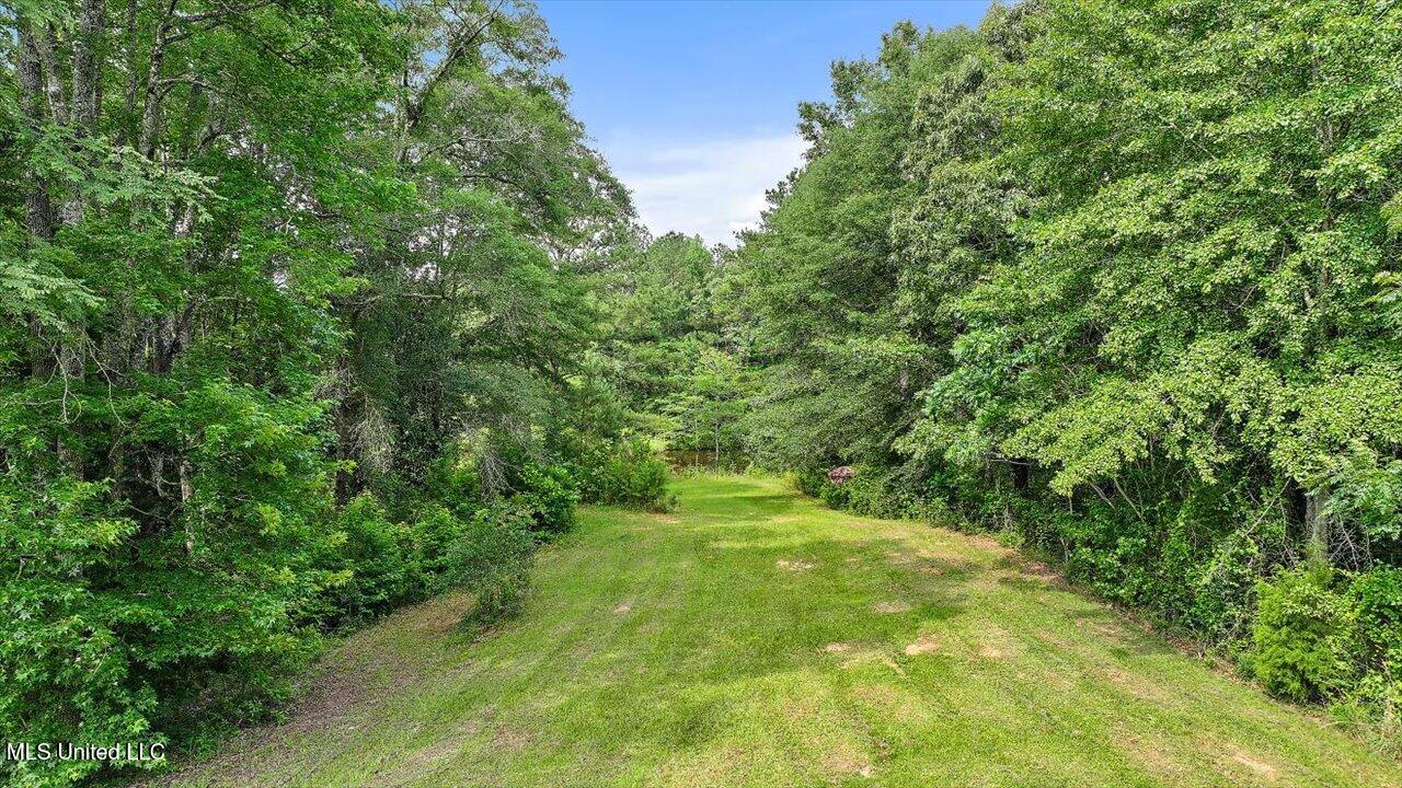 Brandon - Williamsburg Road Mendenhall, MS 39114 - Photo 2 of 29 27-182 Brandon - Williamsburg Rd