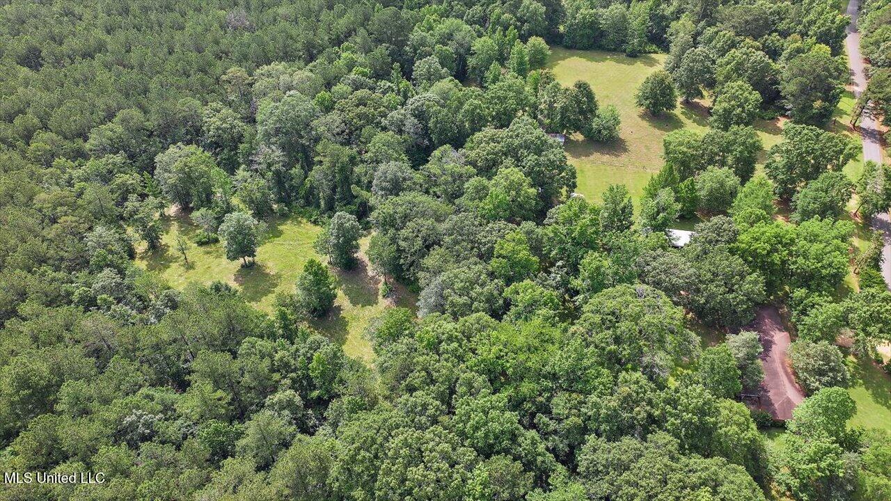 Brandon - Williamsburg Road Mendenhall, MS 39114 - Photo 21 of 29 18-182 Brandon - Williamsburg Rd