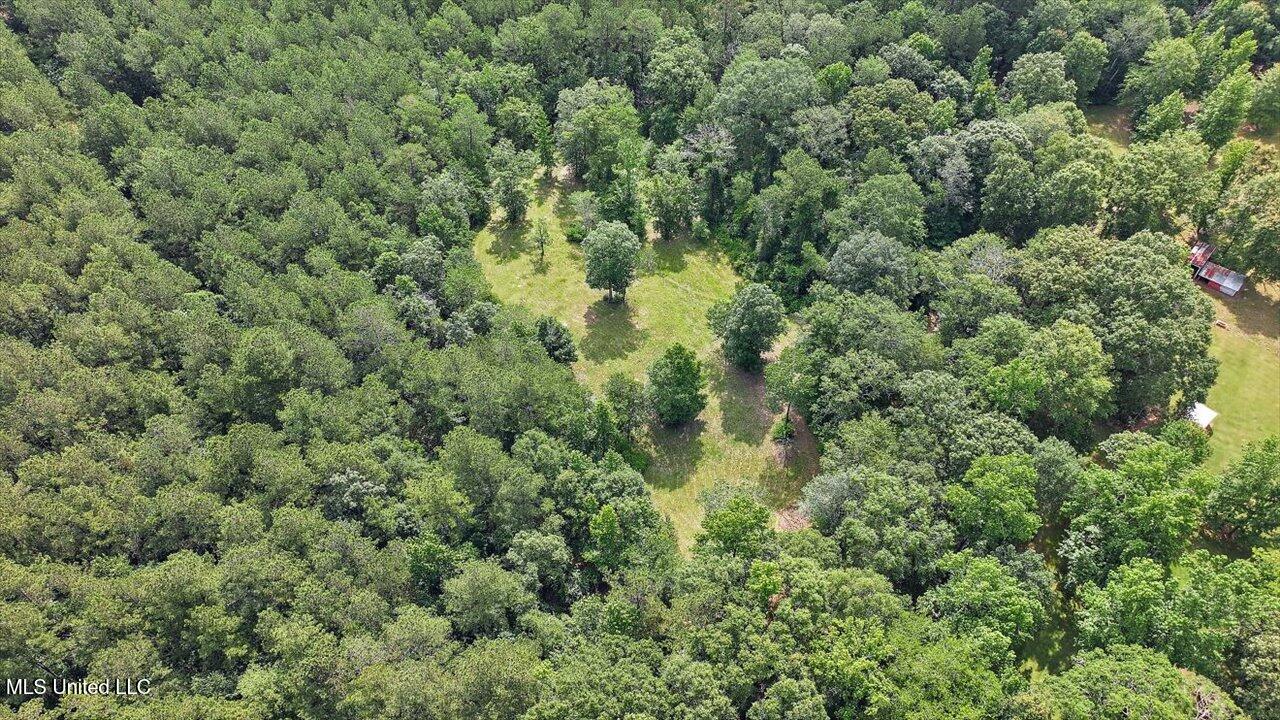 Brandon - Williamsburg Road Mendenhall, MS 39114 - Photo 22 of 29 19-182 Brandon - Williamsburg Rd