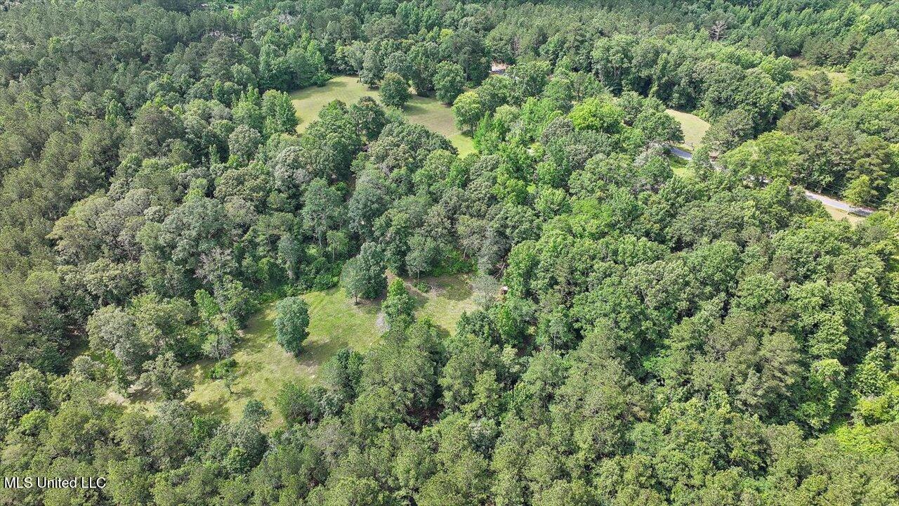 Brandon - Williamsburg Road Mendenhall, MS 39114 - Photo 23 of 29 20-182 Brandon - Williamsburg Rd