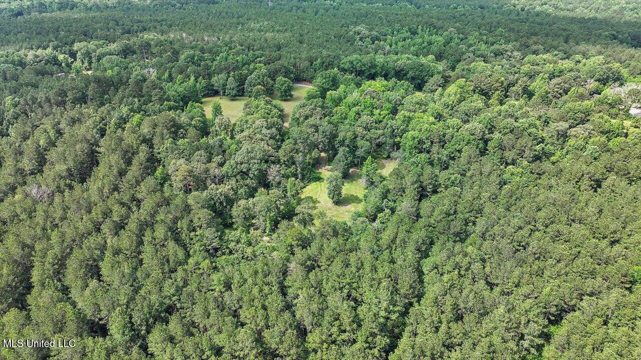 Brandon - Williamsburg Road Mendenhall, MS 39114 - Photo 24 of 29 21-182 Brandon - Williamsburg Rd