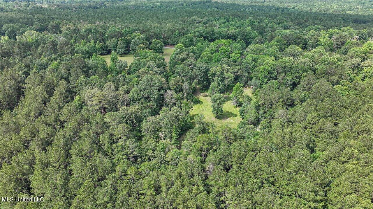 Brandon - Williamsburg Road Mendenhall, MS 39114 - Photo 25 of 29 22-182 Brandon - Williamsburg Rd