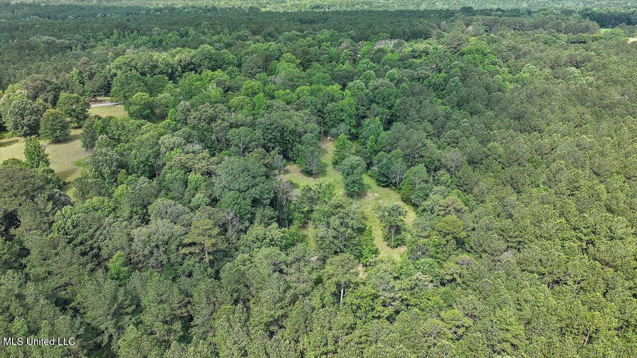 Brandon - Williamsburg Road Mendenhall, MS 39114 - Photo 26 of 29 23-182 Brandon - Williamsburg Rd