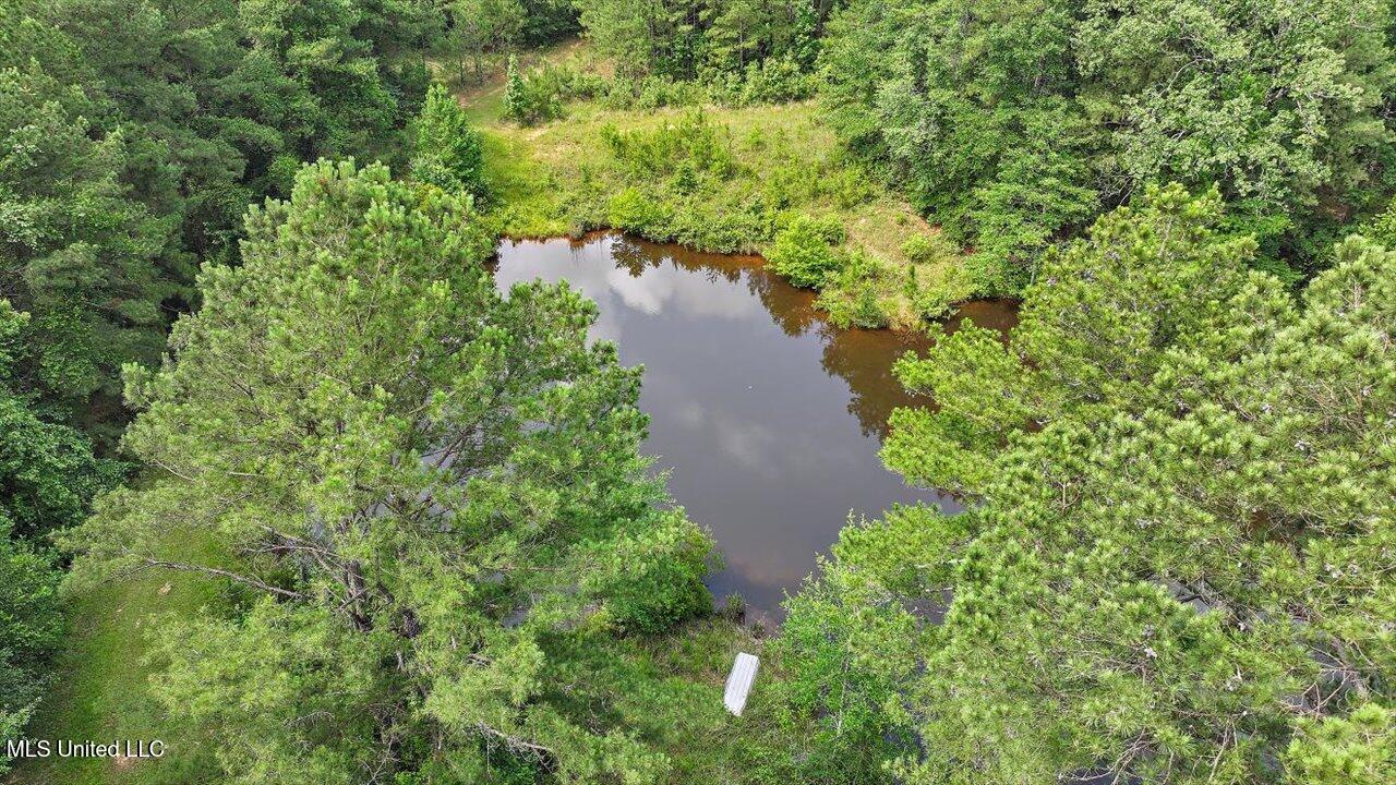 Brandon - Williamsburg Road Mendenhall, MS 39114 - Photo 28 of 29 29-182 Brandon - Williamsburg Rd