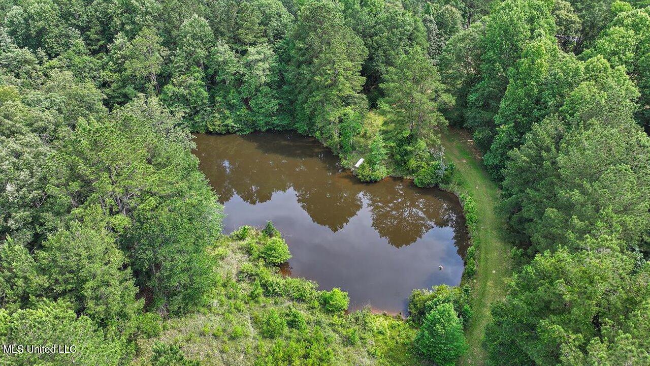 Brandon - Williamsburg Road Mendenhall, MS 39114 - Photo 29 of 29 30-182 Brandon - Williamsburg Rd