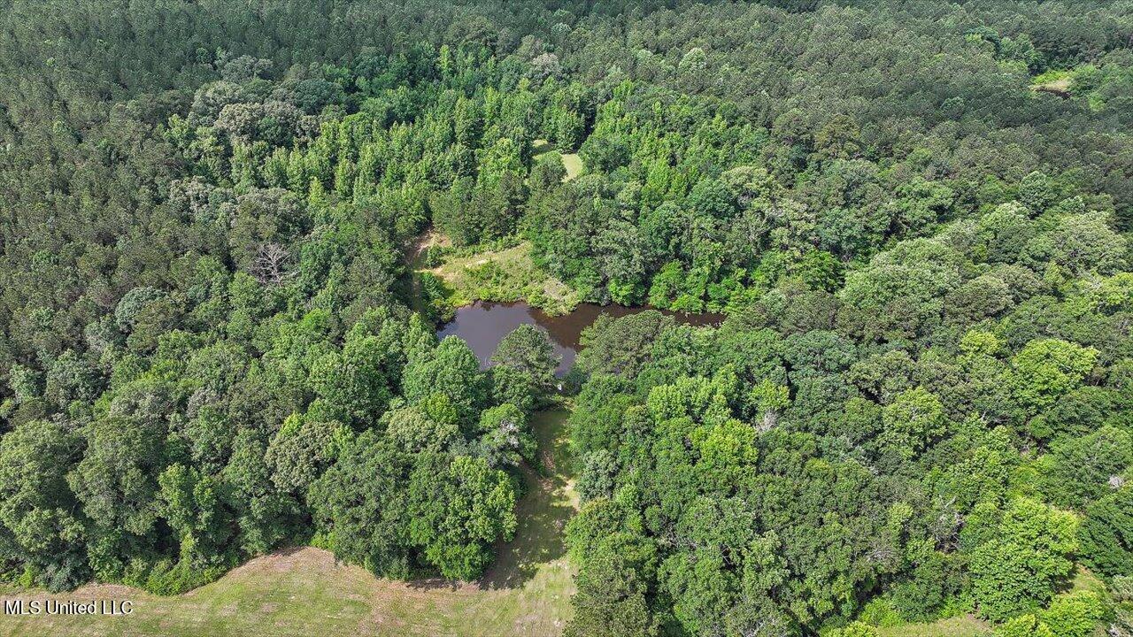 Brandon - Williamsburg Road Mendenhall, MS 39114 - Photo 5 of 29 07-182 Brandon - Williamsburg Rd