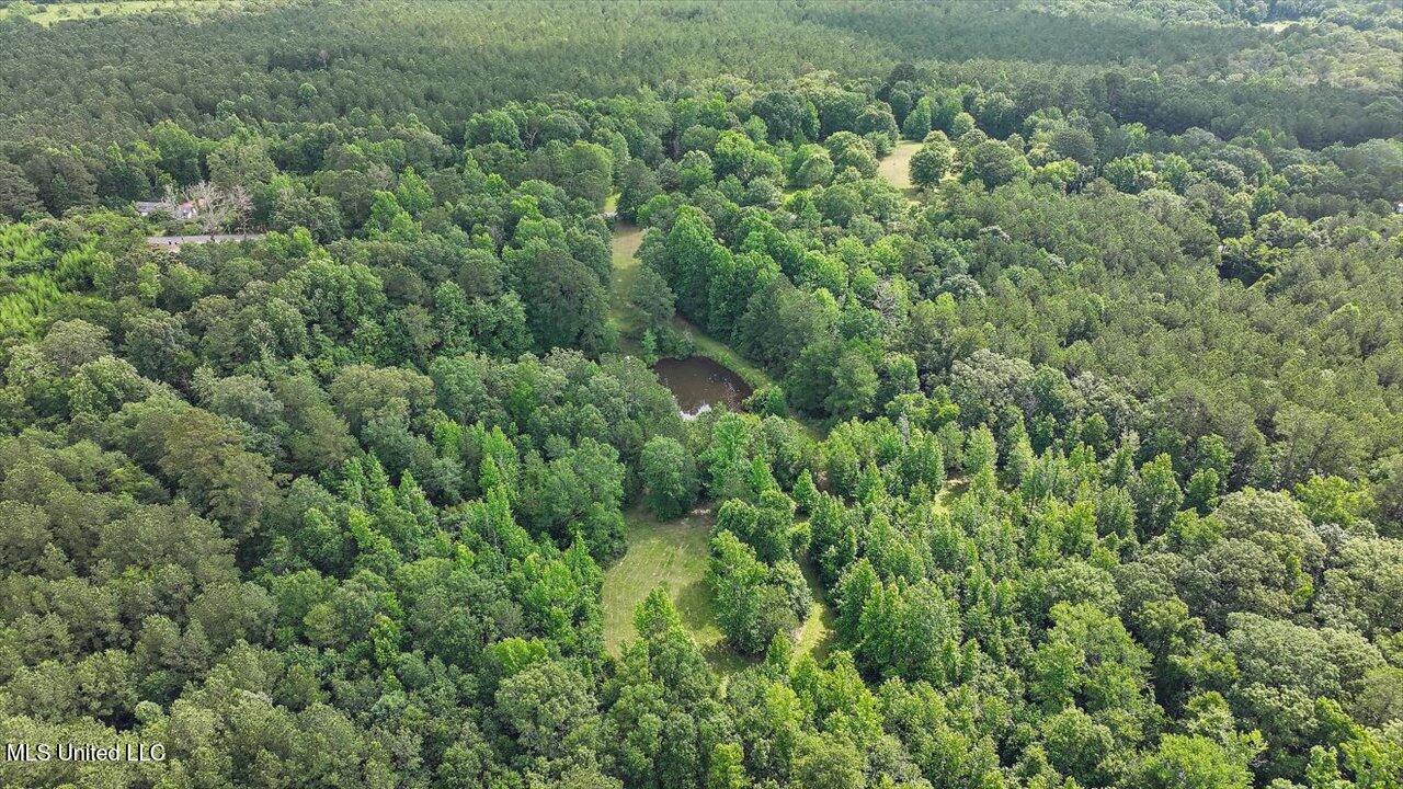 Brandon - Williamsburg Road Mendenhall, MS 39114 - Photo 6 of 29 01-182 Brandon - Williamsburg Rd
