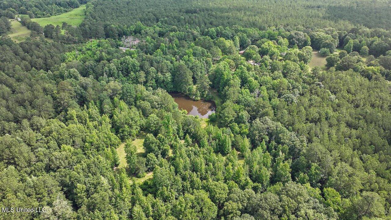 Brandon - Williamsburg Road Mendenhall, MS 39114 - Photo 7 of 29 02-182 Brandon - Williamsburg Rd
