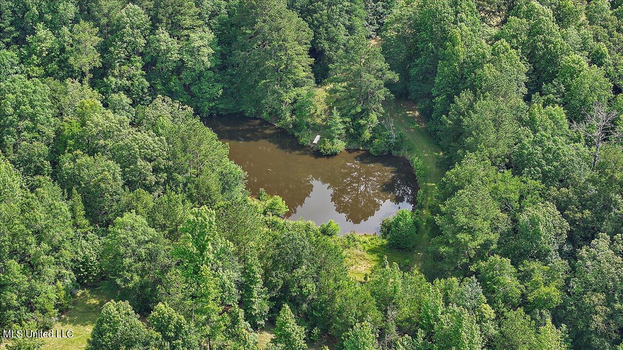 Brandon - Williamsburg Road Mendenhall, MS 39114 - Photo 8 of 29 03-182 Brandon - Williamsburg Rd