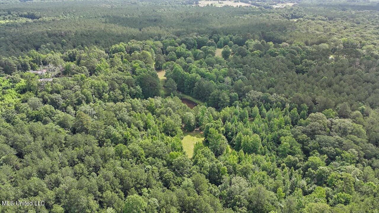 Brandon - Williamsburg Road Mendenhall, MS 39114 - Photo 9 of 29 04-182 Brandon - Williamsburg Rd
