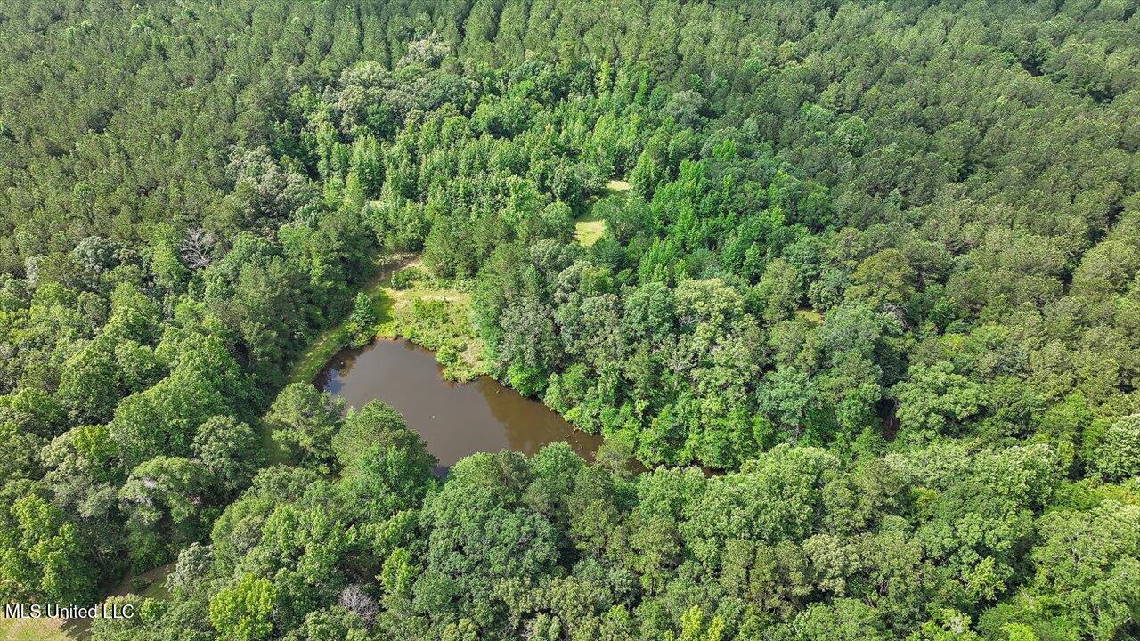 Brandon - Williamsburg Road Mendenhall, MS 39114 - Photo 10 of 29 06-182 Brandon - Williamsburg Rd
