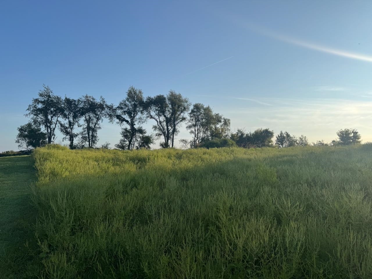 0 Freedom Cir Court Hazel Green, WI 53811 - Photo 12 of 40