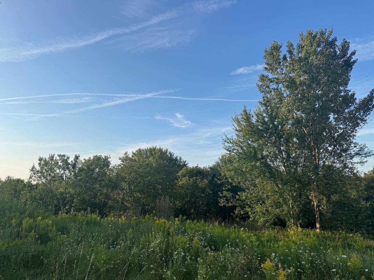 0 Freedom Cir Court Hazel Green, WI 53811 - Photo 14 of 40