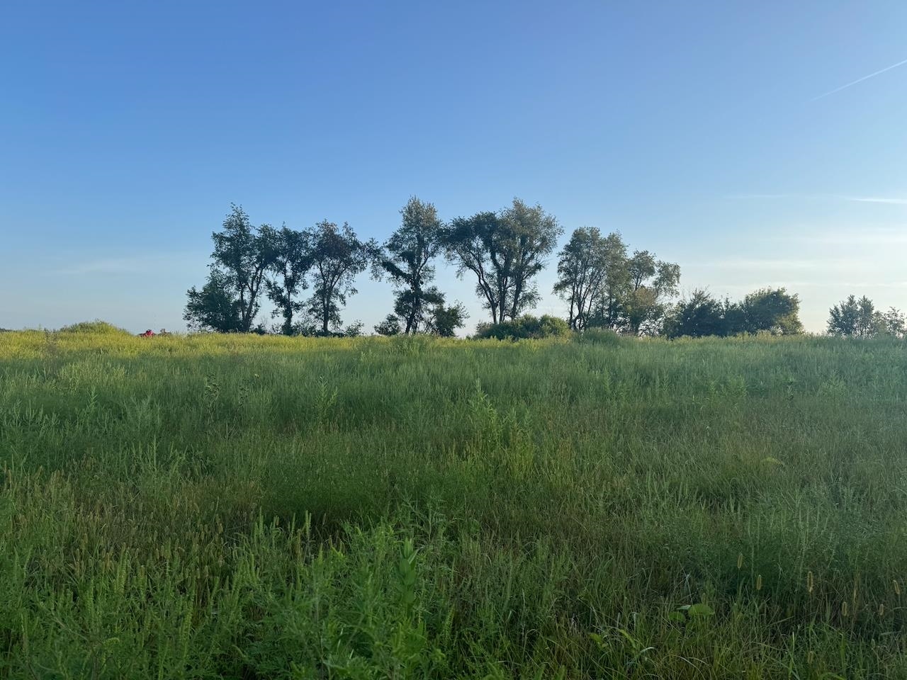 0 Freedom Cir Court Hazel Green, WI 53811 - Photo 16 of 40