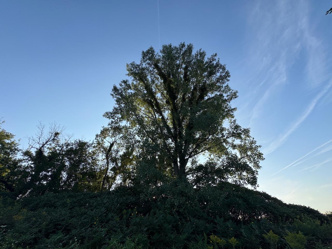 0 Freedom Cir Court Hazel Green, WI 53811 - Photo 18 of 40