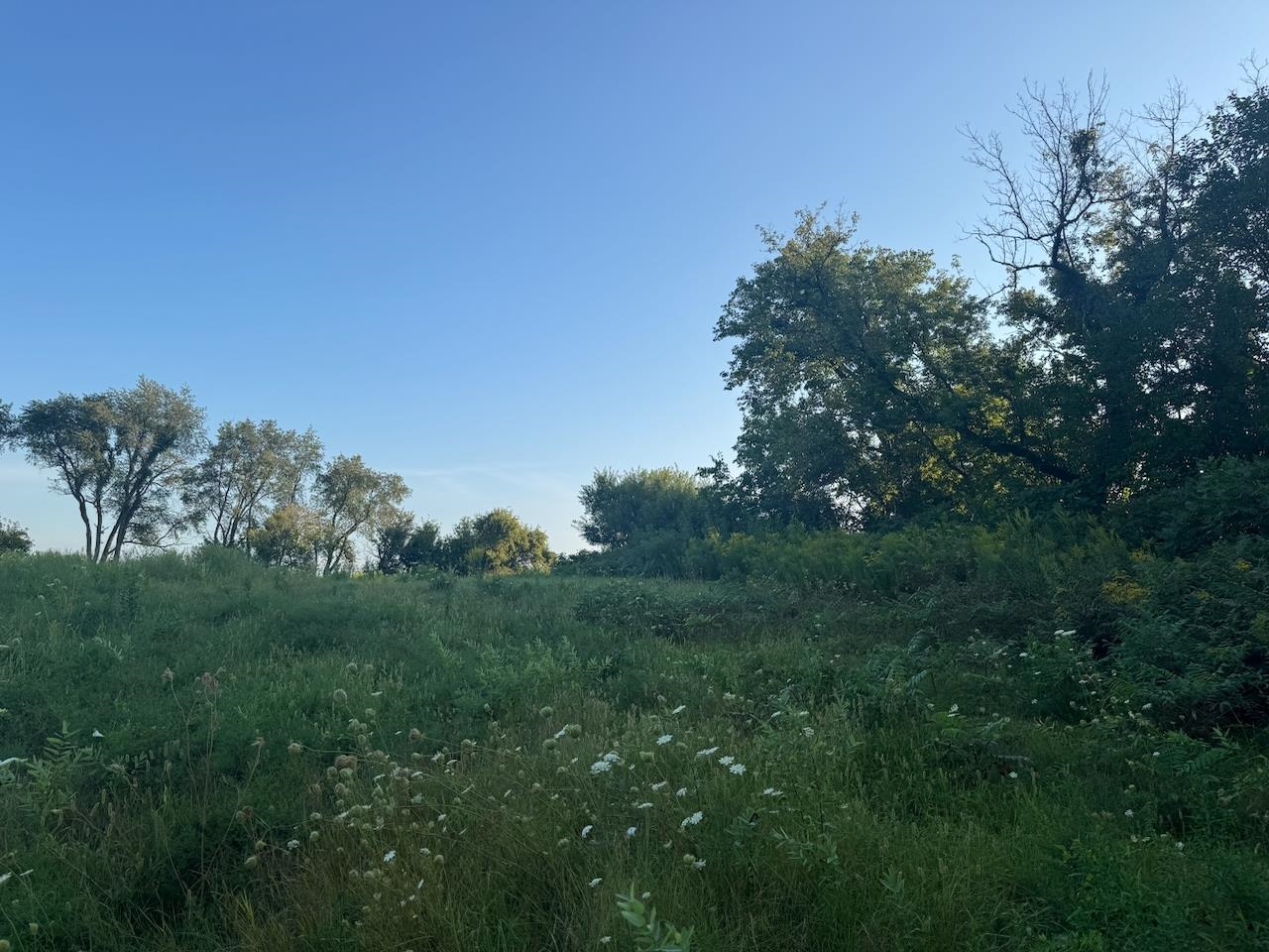 0 Freedom Cir Court Hazel Green, WI 53811 - Photo 19 of 40