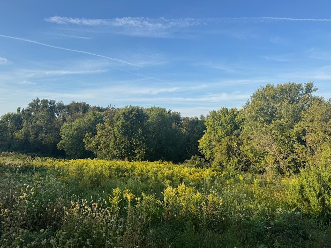 0 Freedom Cir Court Hazel Green, WI 53811 - Photo 22 of 40