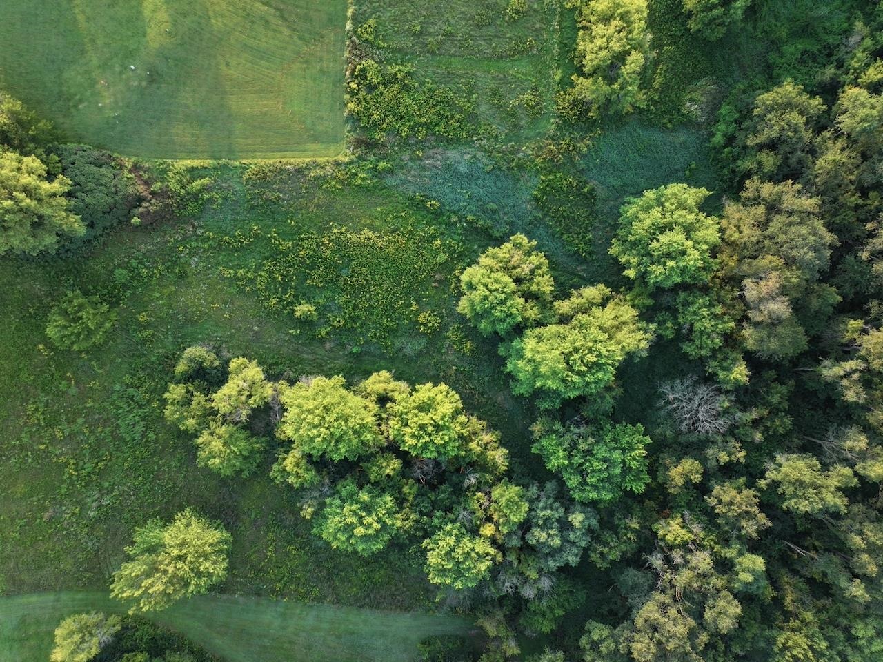 0 Freedom Cir Court Hazel Green, WI 53811 - Photo 27 of 40