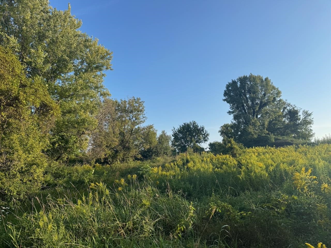 0 Freedom Cir Court Hazel Green, WI 53811 - Photo 29 of 40