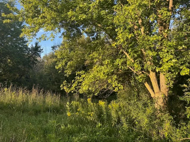 $110,000 | 0 Freedom Cir Court, Hazel Green, WI 53811