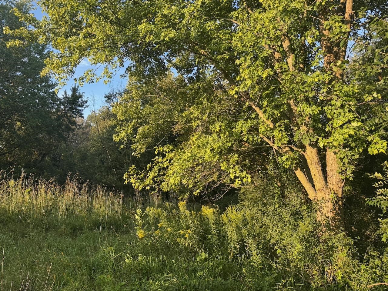 0 Freedom Cir Court Hazel Green, WI 53811 - Photo 30 of 40