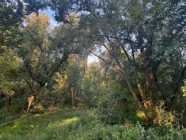 $110,000 | 0 Freedom Cir Court, Hazel Green, WI 53811