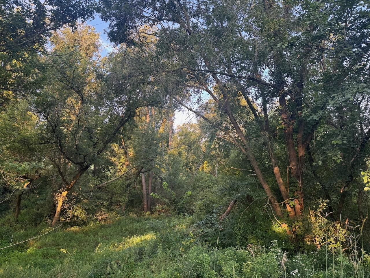 0 Freedom Cir Court Hazel Green, WI 53811 - Photo 31 of 40