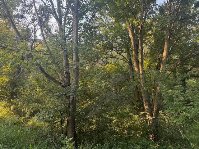 $110,000 | 0 Freedom Cir Court, Hazel Green, WI 53811