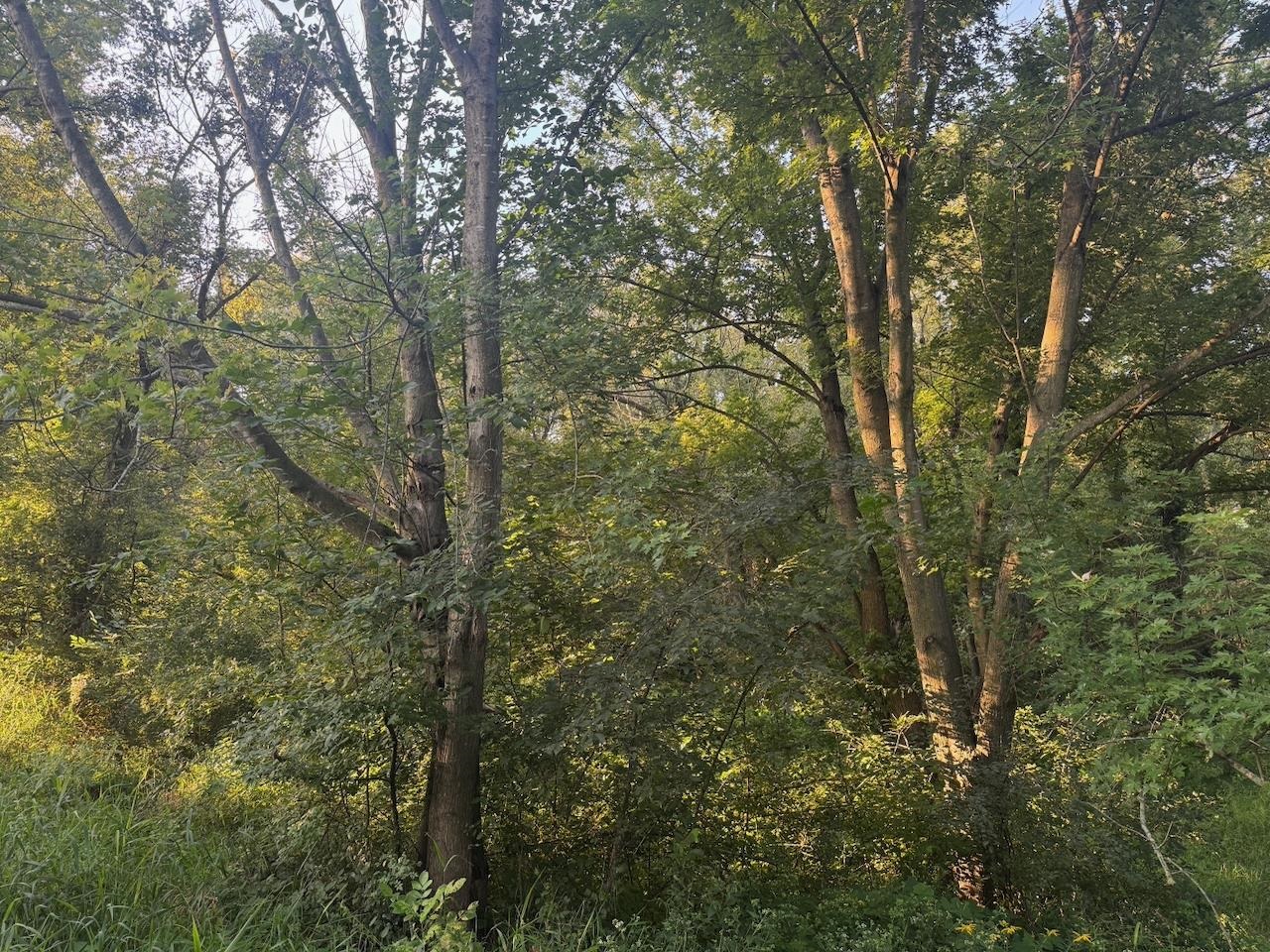 0 Freedom Cir Court Hazel Green, WI 53811 - Photo 32 of 40