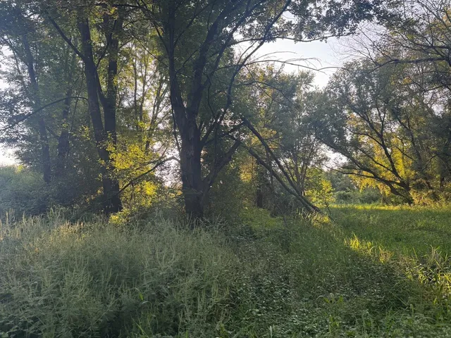 $110,000 | 0 Freedom Cir Court, Hazel Green, WI 53811