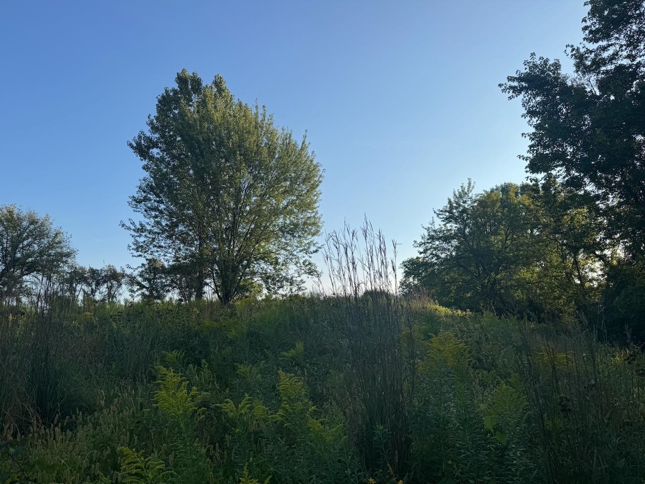 0 Freedom Cir Court Hazel Green, WI 53811 - Photo 36 of 40