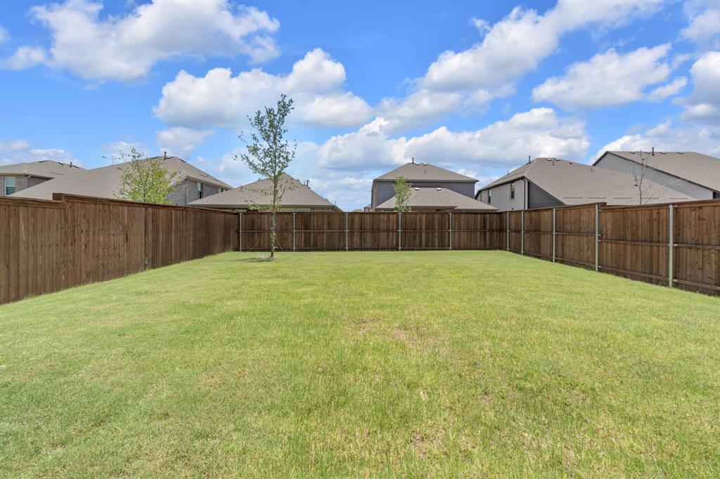 14144 Emeric Street Pilot Point, TX 76258 - Photo 20 of 24