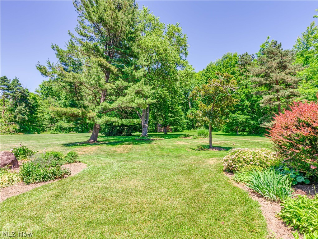 2857 Boston Road Brecksville, OH 44141 - Photo 5 of 31 Rear Yard