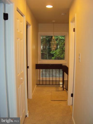 2394 Cloudcroft Square Reston, VA 20191 - Photo 3 of 19 Hallway