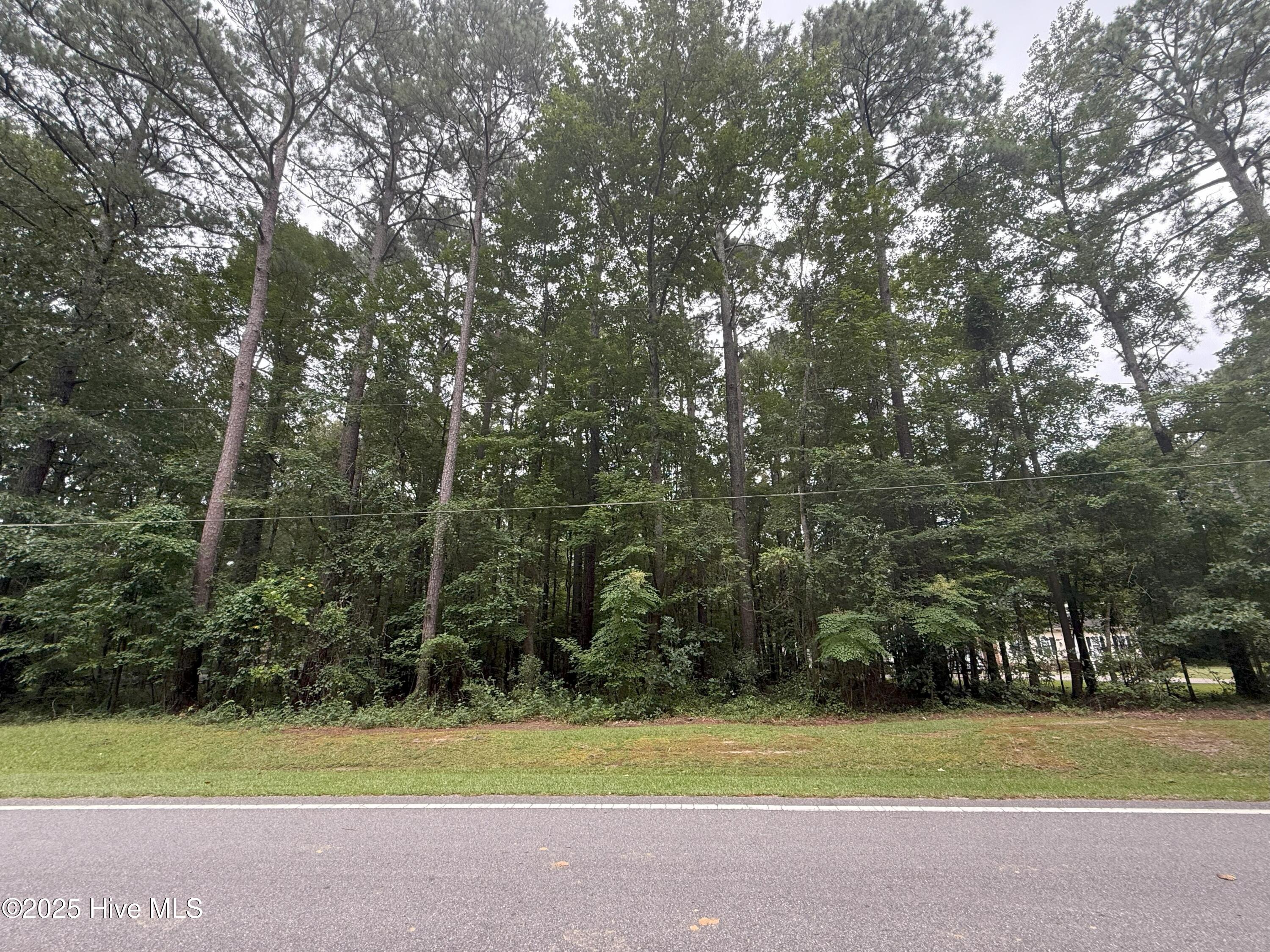 Lot #5 Roxie Reese Road Plymouth, NC 27962 - Photo 5 of 9 rrrd4