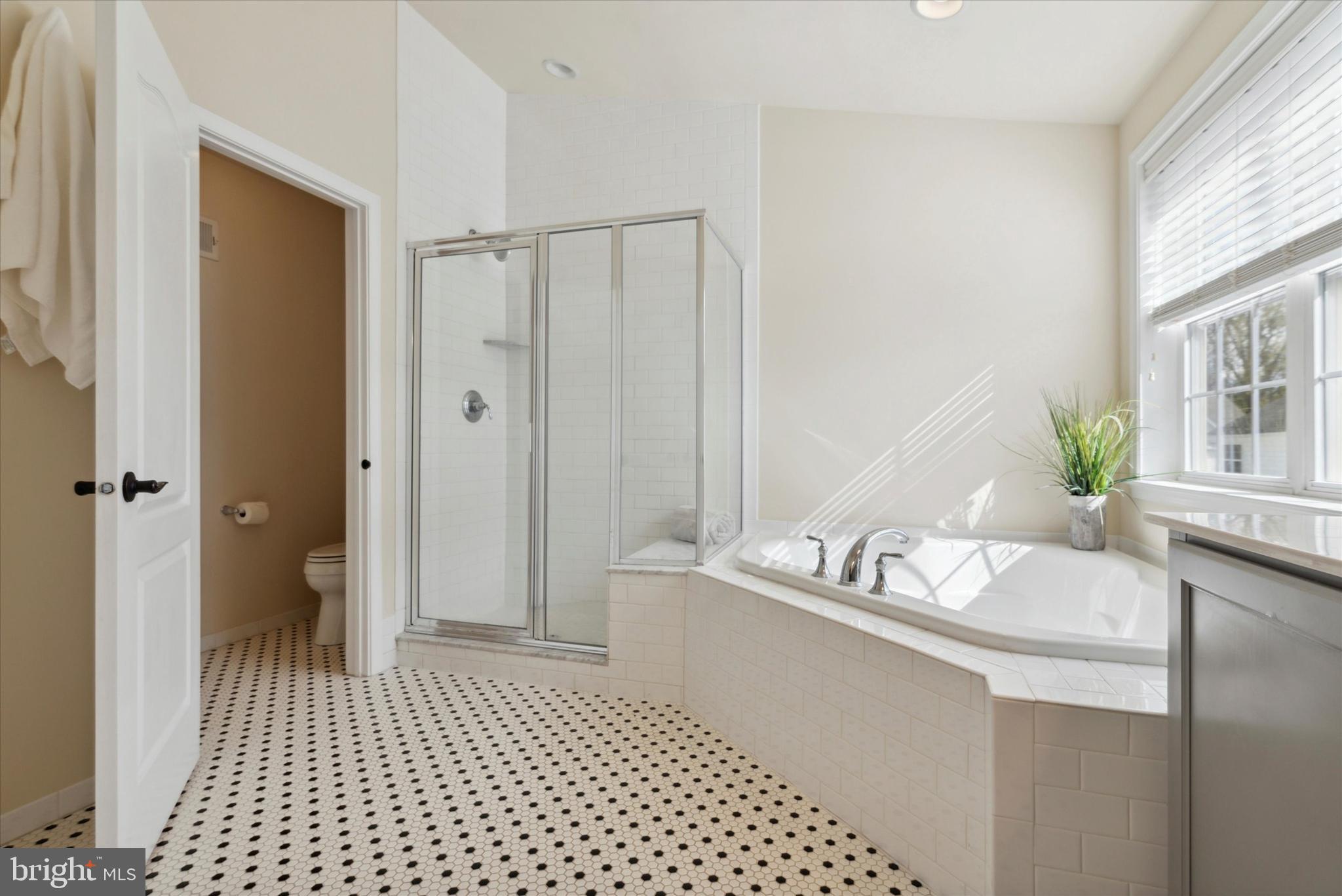 204 Jackdaw Alley Springfield, PA 19064 - Photo 16 of 26 Primary Bathroom