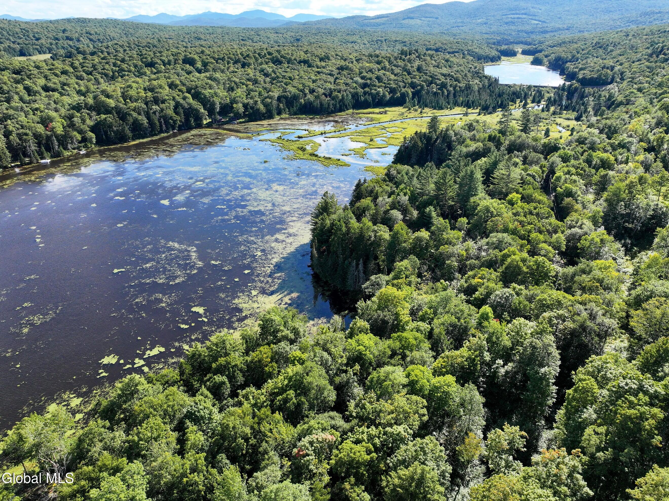 427 Woody's Road Newcomb, NY 12852 - Photo 9 of 15 DJI_20250825164729_0611_D-2 (Copy)