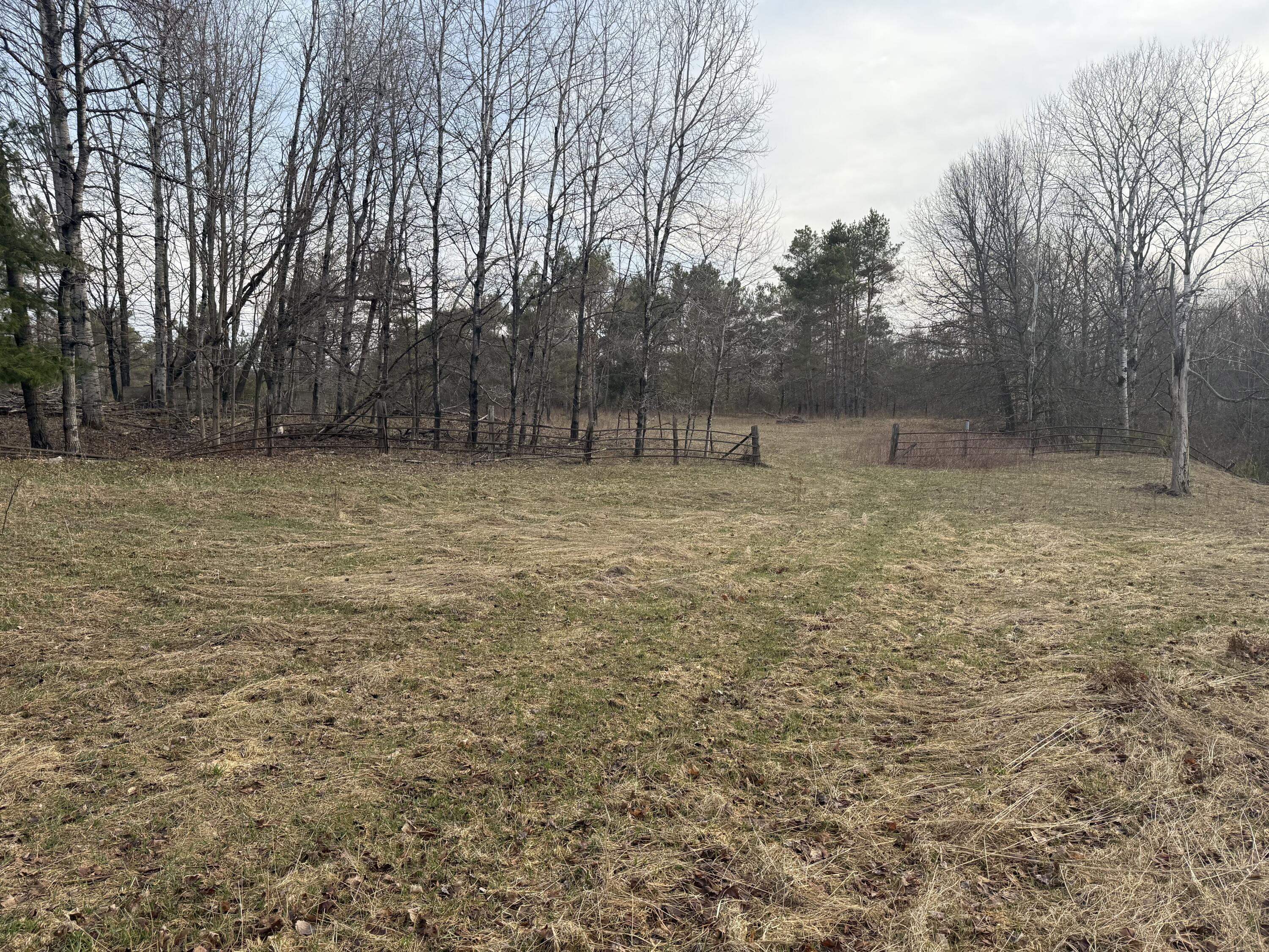 7 East 7 Mile Road Tustin, MI 49688 - Photo 8 of 22 IMG_0459