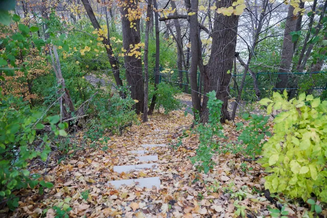 $599,900 | 14085 85th Place North, Maple Grove, MN 55369