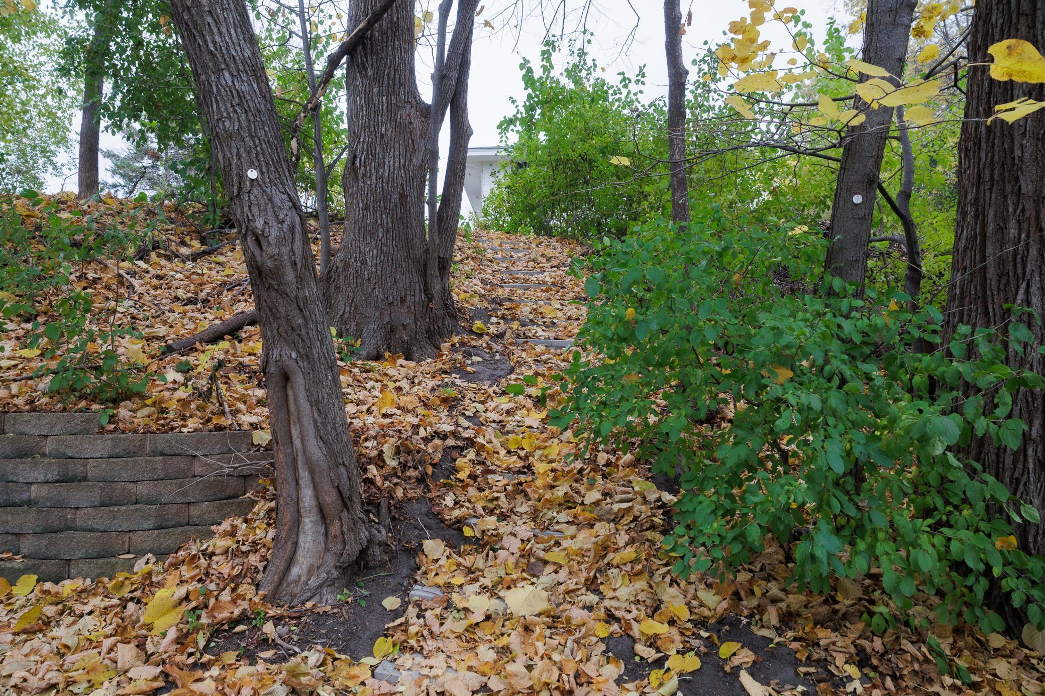 14085 85th Place North Maple Grove, MN 55369 - Photo 34 of 40