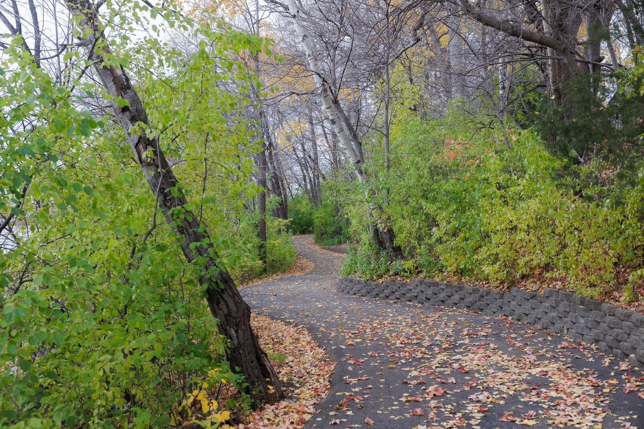 14085 85th Place North Maple Grove, MN 55369 - Photo 35 of 40