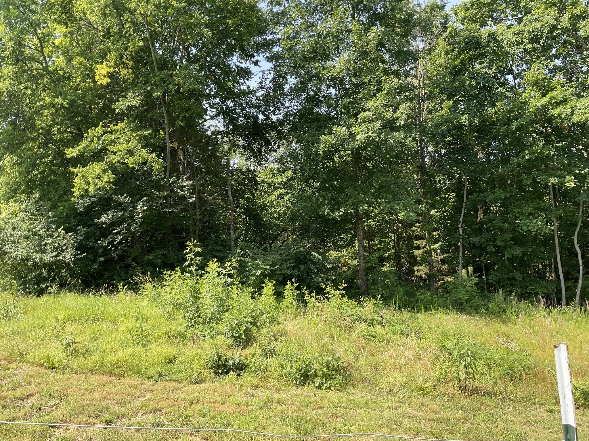 511 Franklin Road Gallatin, TN 37066 - Photo 31 of 47 a view of a lake view